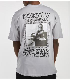 T-Shirt ανδρικό -BROOKLYN- TR109JA